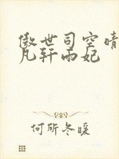 傲世司空晴:叶凡轩雨妃