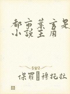 都市叶玄是哪本小说主角