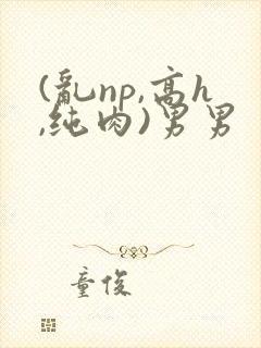 (乱np,高h,纯肉)男男