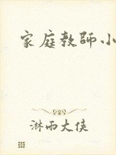 家庭教师小说封面