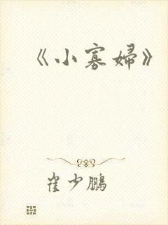 《小寡妇》封面