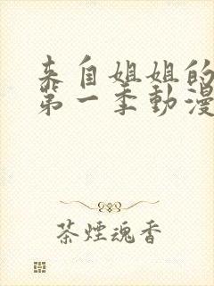 来自姐姐的关爱第一季动漫在线观看全集