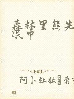 森林里熊先生冬眠中封面