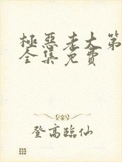 极恶老大第二季全集免费