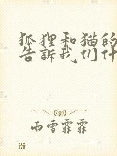 狐狸和猫的故事告诉我们什么道理