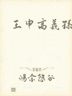 王申高义孙倩封面