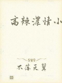 高辣浓情小说