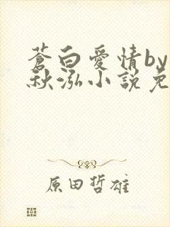 苍白爱情by三秋泓小说免费阅读笔趣阁封面