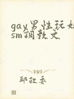 gay男性玩奴sm调教文