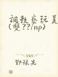 调教亵玩美人受(双??/np)