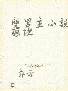 双男主小说受暗恋攻封面