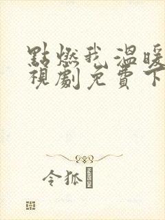 点燃我温暖你电视剧免费下载