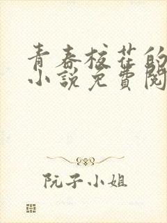 青春校花的堕落小说免费阅读封面