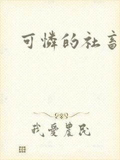 可怜的社畜小说