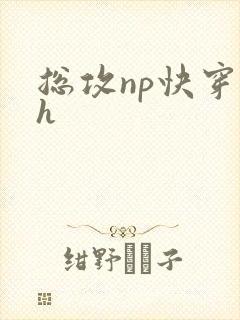 总攻np快穿高h