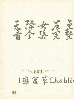 天降女友免费观看全集完整版