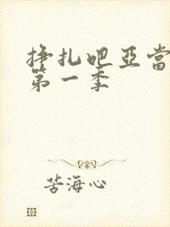 挣扎吧亚当军君第一季