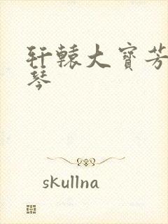 轩辕大宝芳菲雅琴