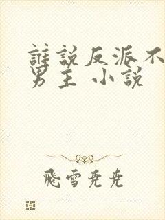 谁说反派不能当男主 小说