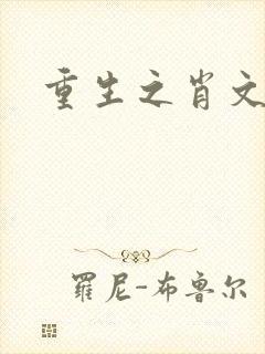 重生之肖文封面