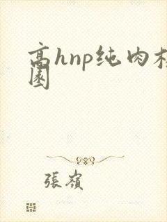 高hnp纯肉校园