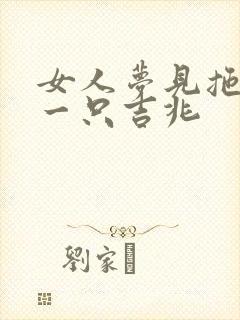 女人梦见拖鞋丢一只吉兆封面