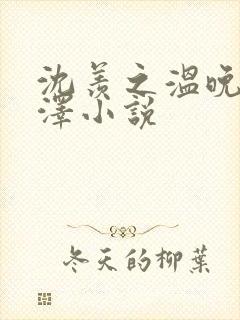 沈羡之温晚顾承泽小说