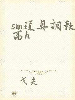 sm道具调教文高h