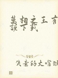 万相之王有声小说下载