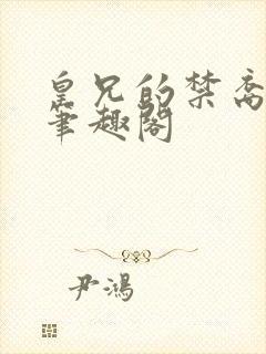 皇兄的禁裔小说笔趣阁