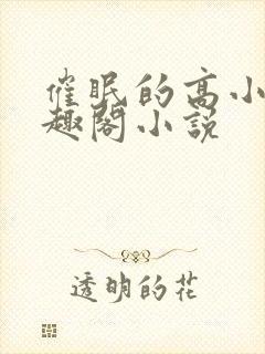 催眠的高小柔笔趣阁小说