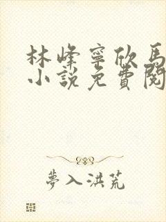 林峰宁欣马帮国小说免费阅读笔趣阁