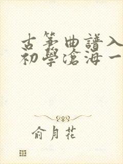 古筝曲谱入门 初学沧海一声笑