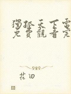 独孤天下电视剧免费观看完整版高清