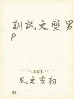 训诫文双男主sp封面