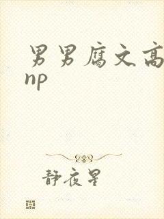 男男腐文高h肉np