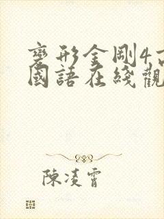 变形金刚4高清国语在线观看封面