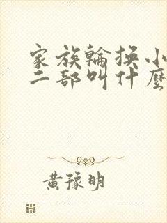 家族轮换小说第二部叫什么名字封面