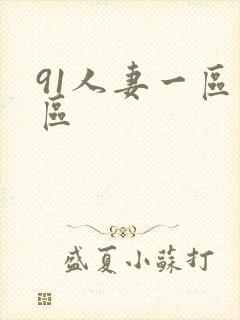 91人妻一区二区