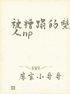 被糟蹋的双性美人np