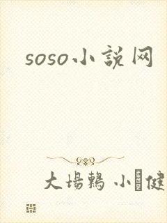 soso小说网封面