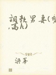 调教男妻(双性,高h)