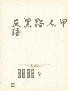 反黑路人甲 国语封面