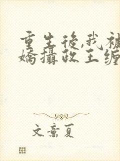 重生后,我被病娇摄政王缠上了在线阅读小说