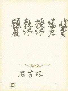 顾教授您醒了吗严沐沐免费阅读全文小说