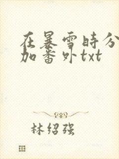 在暴雪时分全文加番外txt