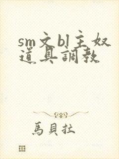 sm文bl主奴道具调教