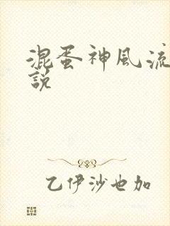 混蛋神风流史小说