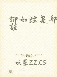 柳如烟是哪部小说封面