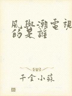 风与潮电视剧讲的是谁